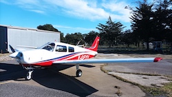 1737896668366 YV Perpi 2 250x141